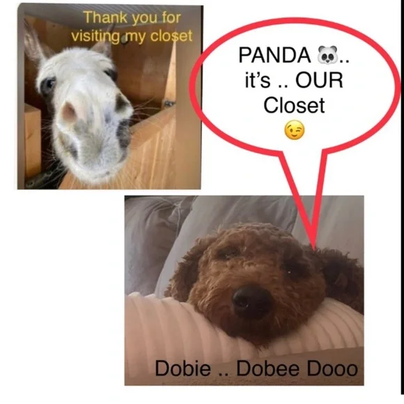 JCREW 🧸 Sweater, CAMO cotton EUC ⭐️ - Picture 9 of 9